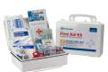 First Aid Kit 25 Person Ansi A Plastic Case