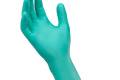 Glove Disposable Exam Cholroprene Powder Free Large 11.8